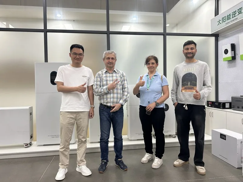 European energy storage distributor visiting WLUG showroom