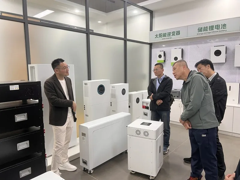 Southeast Asian industrial clients inspecting custom battery pack assembly